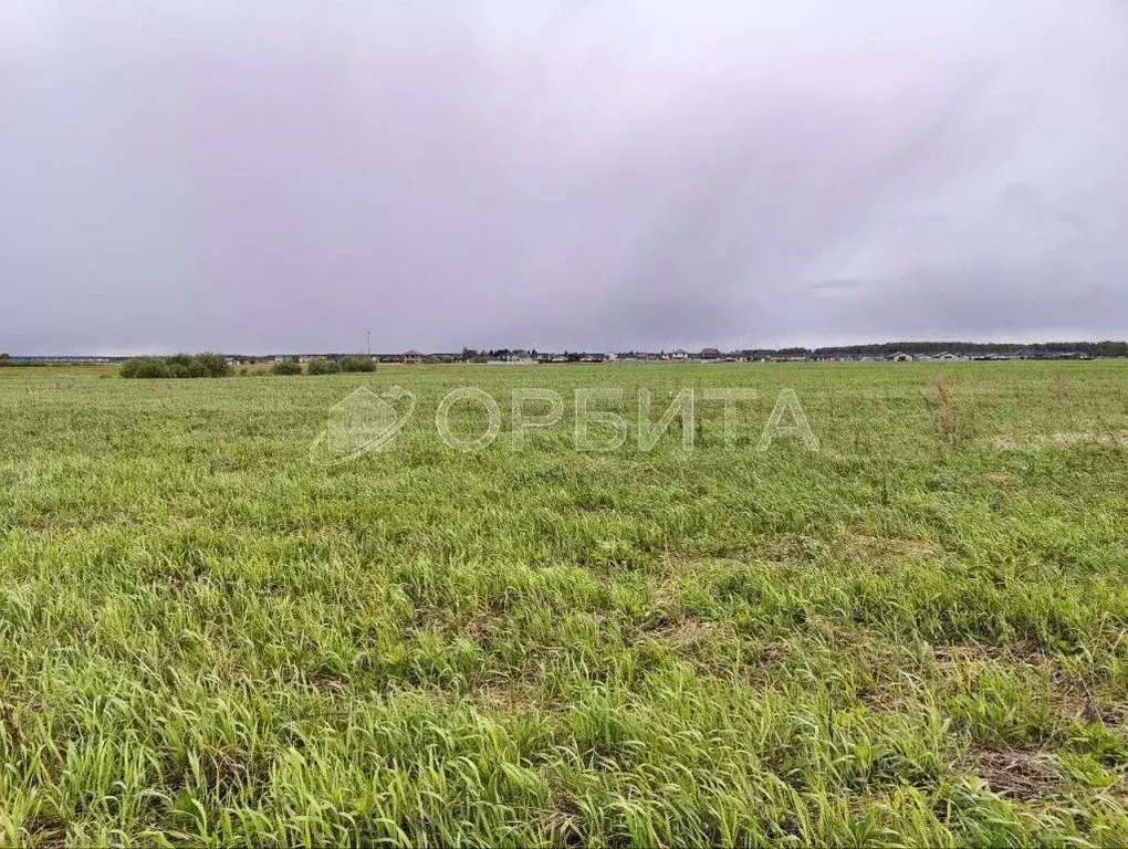 Участок в Тюменская область, Тюменский район, д. Елань 14 (6.95 сот.) - Фото 0