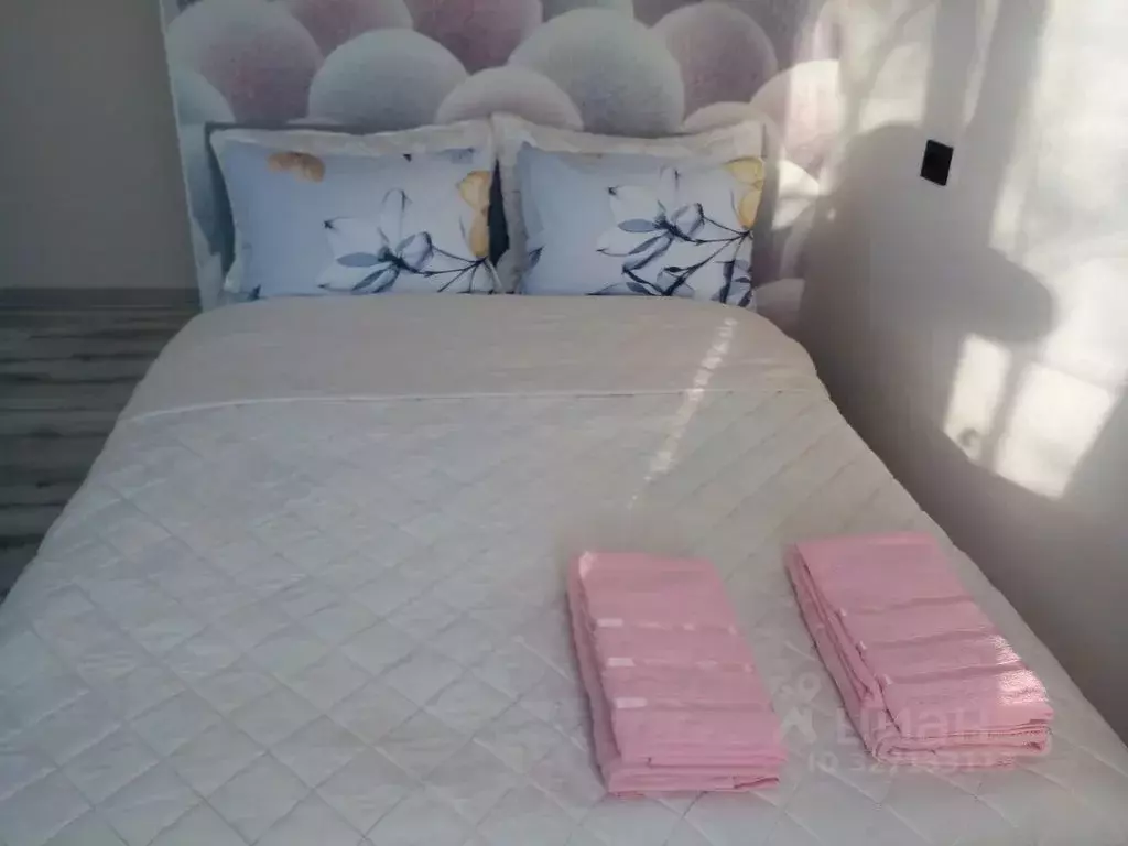 1-к кв. Псковская область, Псков Стахановская ул., 16 (31.0 м) - Фото 2