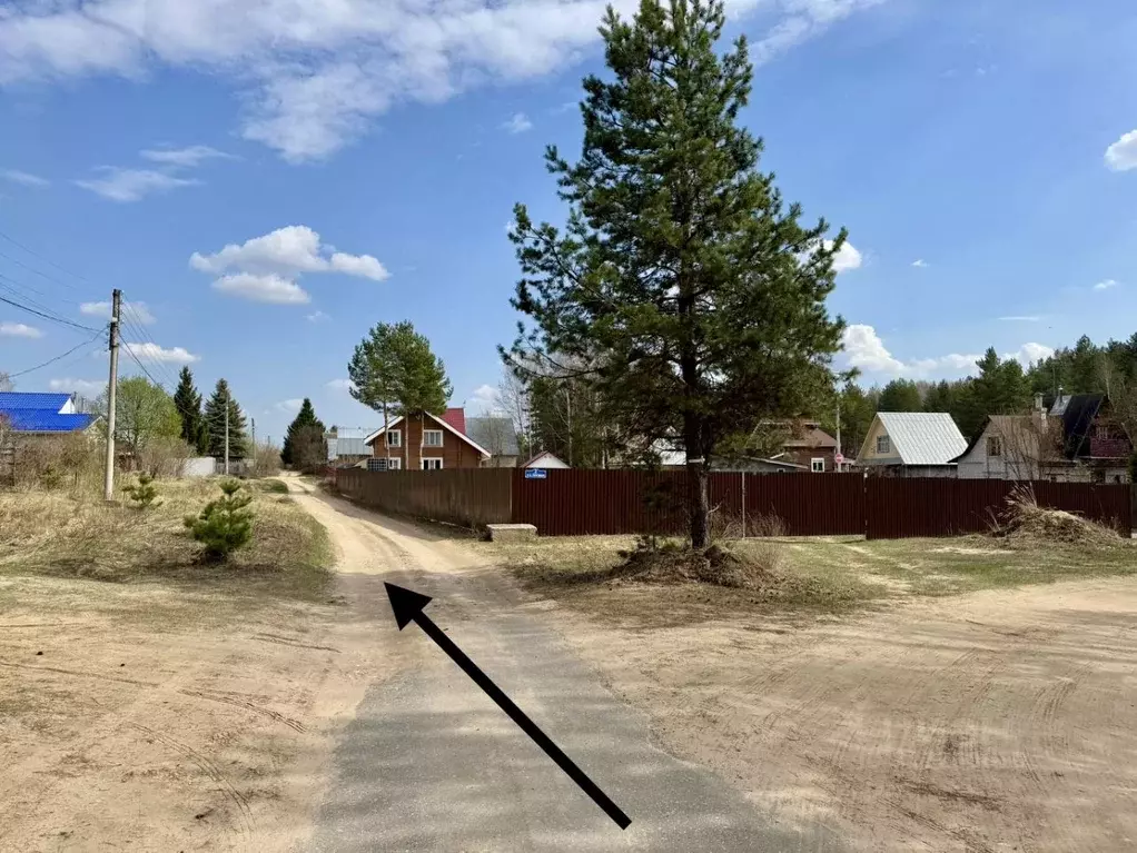 Участок в Нижегородская область, Бор городской округ, д. Рябинки  (7.5 ... - Фото 0