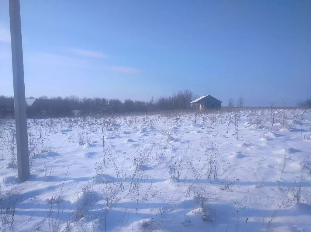 Участок в Новгородская область, Новгородский район, Борковское с/пос, ... - Фото 1