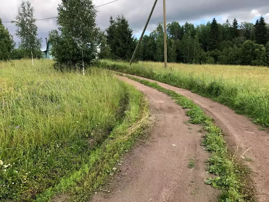 Участок в Ленинградская область, Выборгский район, Селезневское с/пос, ... - Фото 0