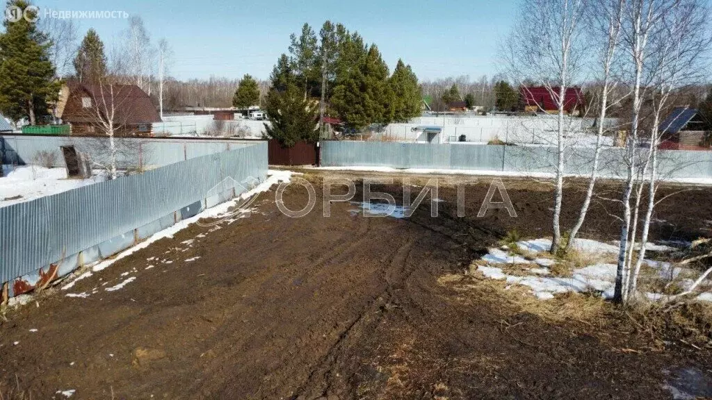 Участок в Тюменский район, СНТ Нива (7.84 м) - Фото 0