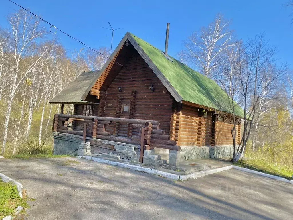 Дом в Новосибирская область, Новосибирский район, с. Раздольное ... - Фото 1