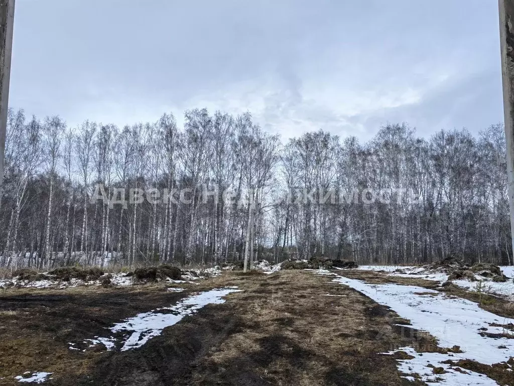 Участок в Тюменская область, Тюменский район, д. Елань  (7.0 сот.) - Фото 0