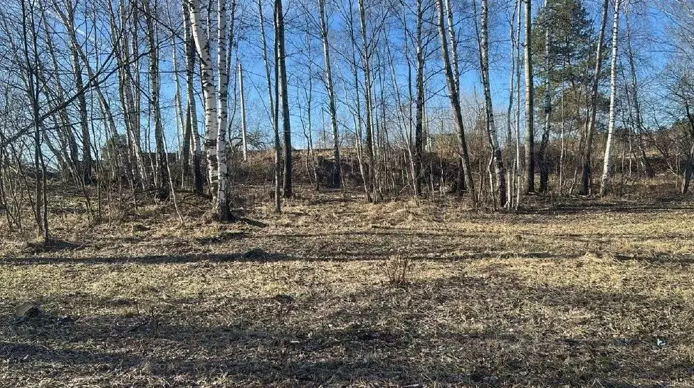 Участок в Московская область, Ступино городской округ, д. Тутыхино ул. ... - Фото 0
