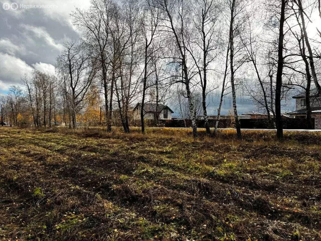 Участок в Московская область, Раменский муниципальный округ, деревня ... - Фото 1