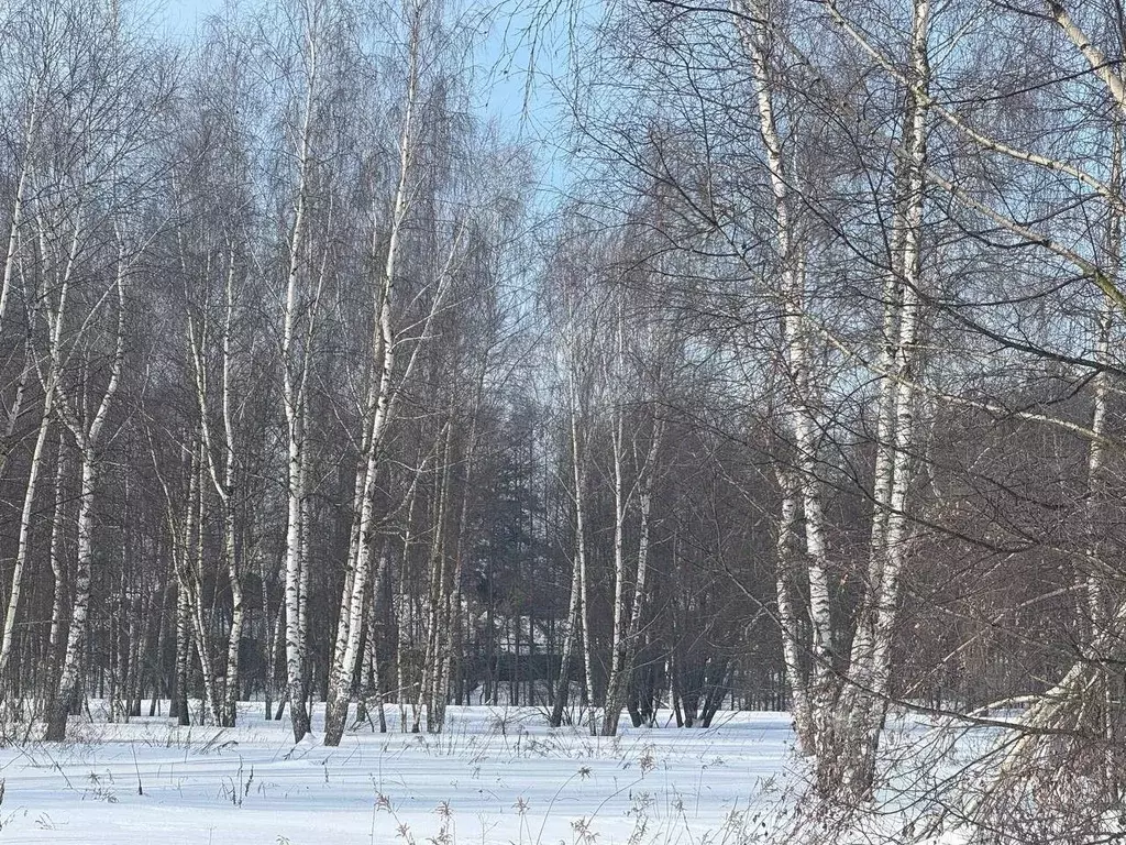 Участок в Московская область, Богородский городской округ, д. Исаково  ... - Фото 1