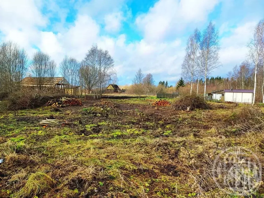 Участок в Ленинградская область, Лужский район, Заклинское с/пос, д. ... - Фото 1