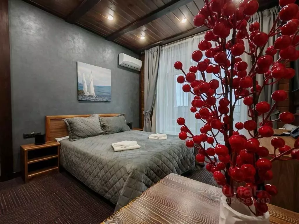 1-к кв. Челябинская область, Миасский городской округ, с. Сыростан ул. ... - Фото 1