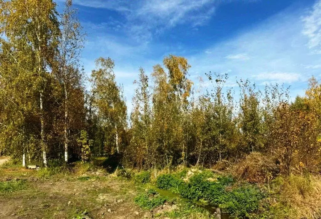 Участок в Владимирская область, Киржач Красный Октябрь мкр, ул. ... - Фото 1