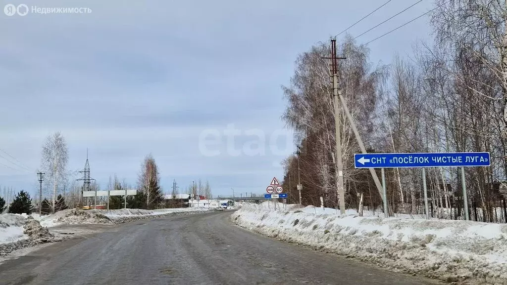 Участок в Новосибирская область, Коченёвский муниципальный район, ... - Фото 2