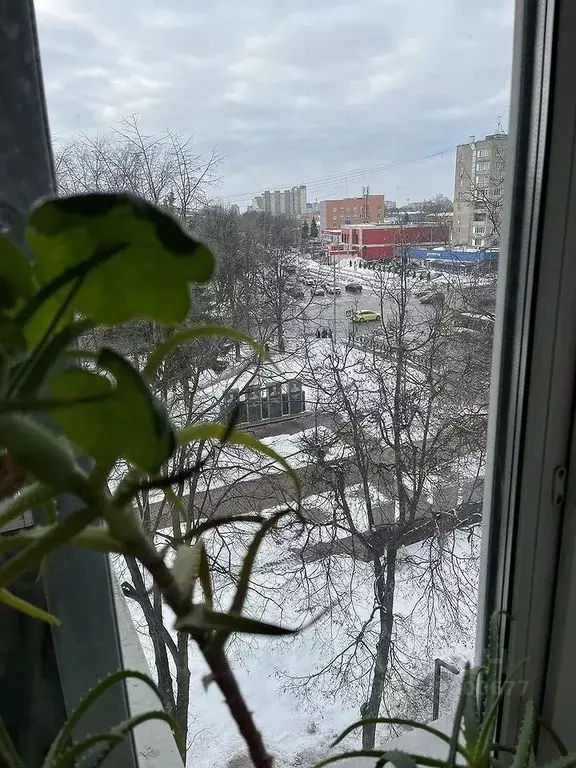 1-к кв. Московская область, Домодедово Центральный мкр, ул. Каширское ... - Фото 1