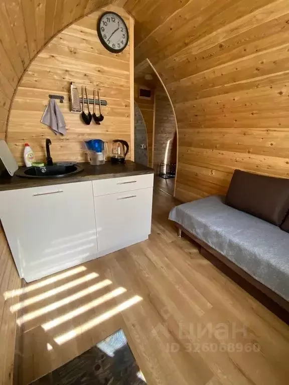 Дом в Алтай, Турочакский район, с. Артыбаш ул. Энергетиков, 21 (20 м) - Фото 2