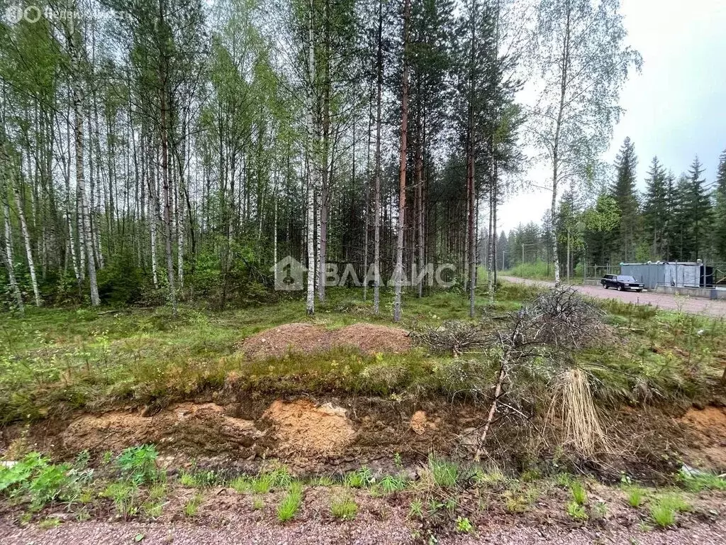 Участок в Рощино, Мельничный проезд (10.2 м) - Фото 1