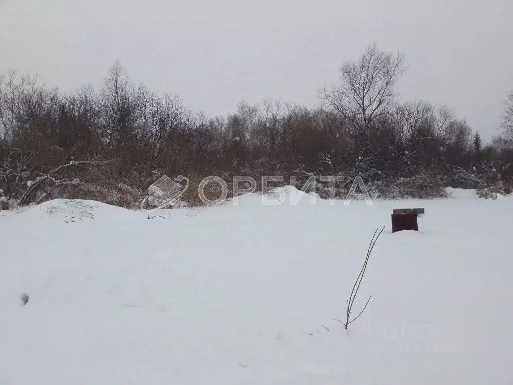 Участок в Тюменская область, Нижнетавдинский муниципальный округ, ... - Фото 1