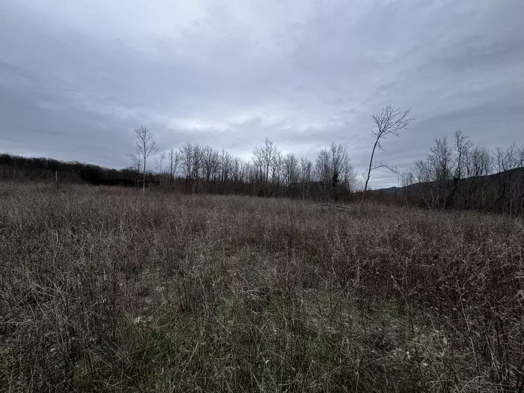 Участок в Краснодарский край, Геленджик ул. Ленина (9.0 сот.) - Фото 1