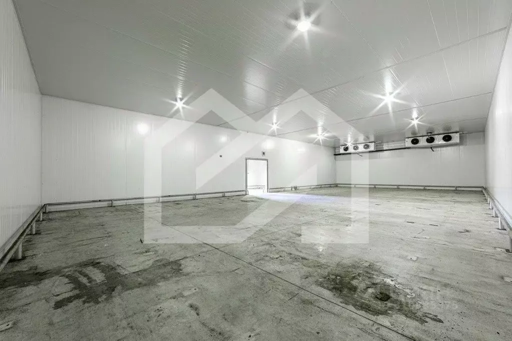 Склад в Московская область, Раменское ул. Революции, 58 (4600 м) - Фото 0