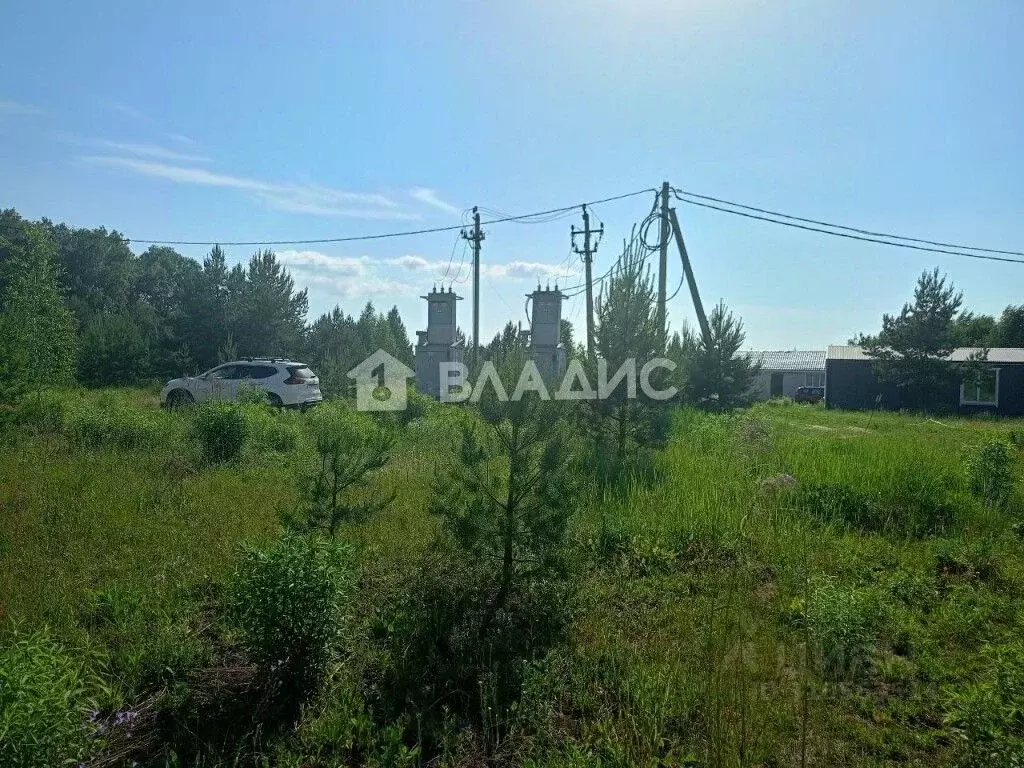 Участок в Владимирская область, Суздальский район, Боголюбовское ... - Фото 0