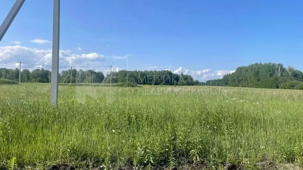 Участок в Тюменская область, Нижнетавдинский район, Строитель ТСН ул. ... - Фото 1