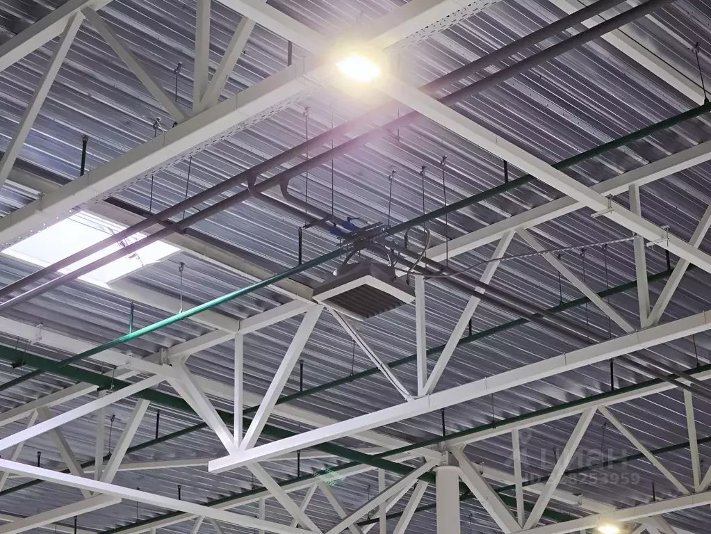 Склад в Московская область, Ногинск Богородский городской округ, ул. ... - Фото 2