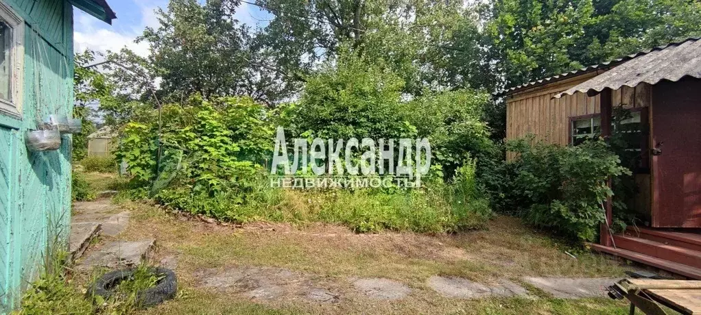 Участок в Ленинградская область, Кировское городское поселение, ... - Фото 1