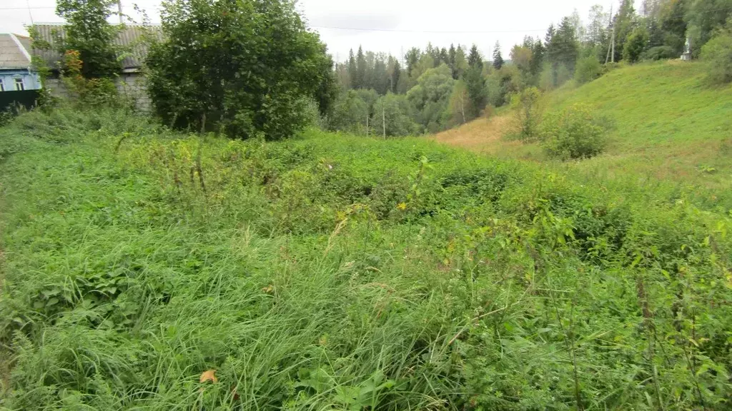 Участок в Московская область, Рузский муниципальный округ, д. ... - Фото 1