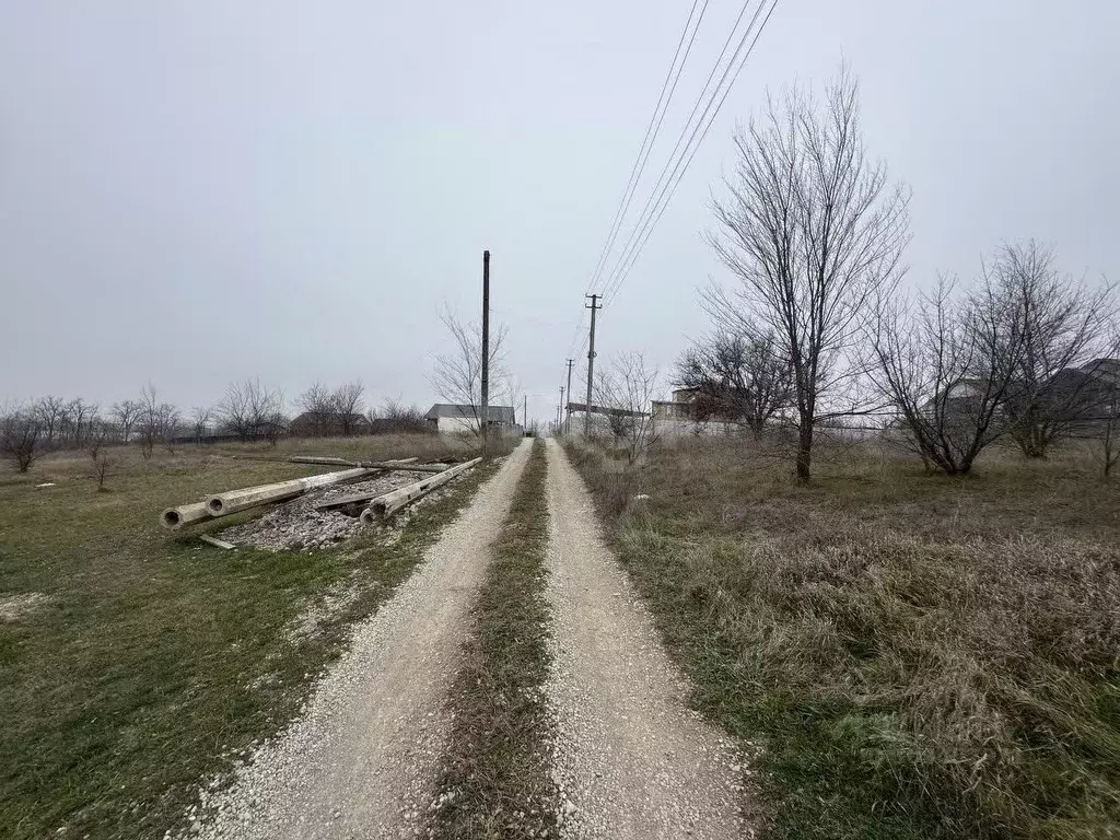 Участок в Крым, Симферопольский район, Чистенское с/пос, Родничок СПК ... - Фото 1