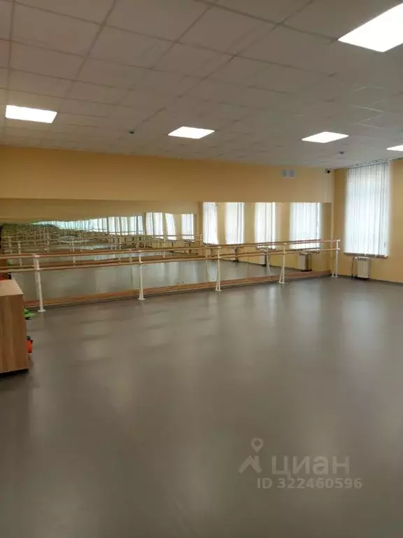 Помещение свободного назначения в Пензенская область, Пенза ул. ... - Фото 2