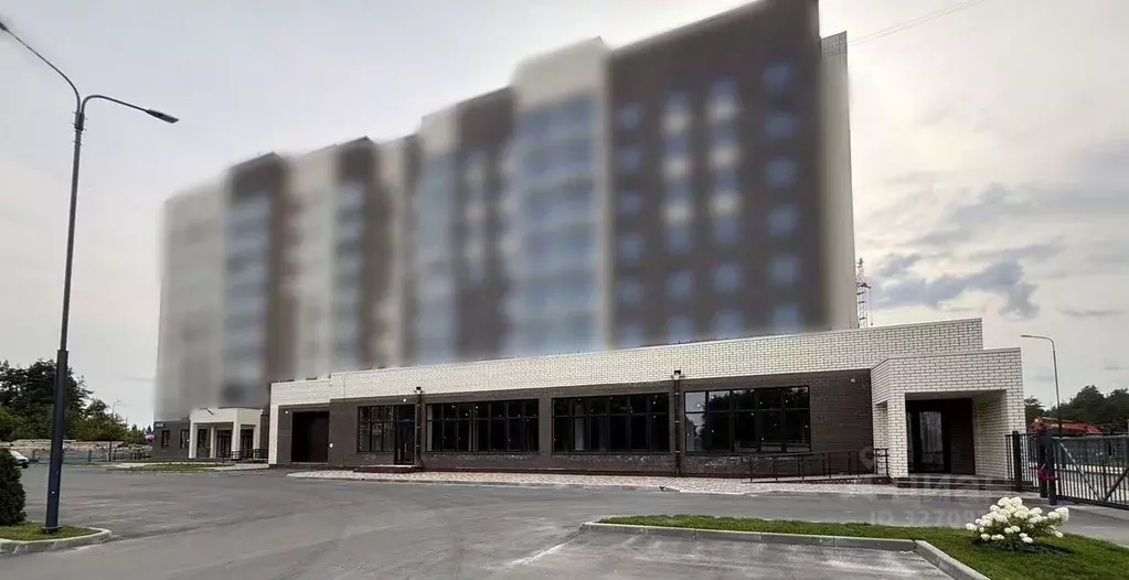 Помещение свободного назначения в Брянская область, Брянский район, ... - Фото 2