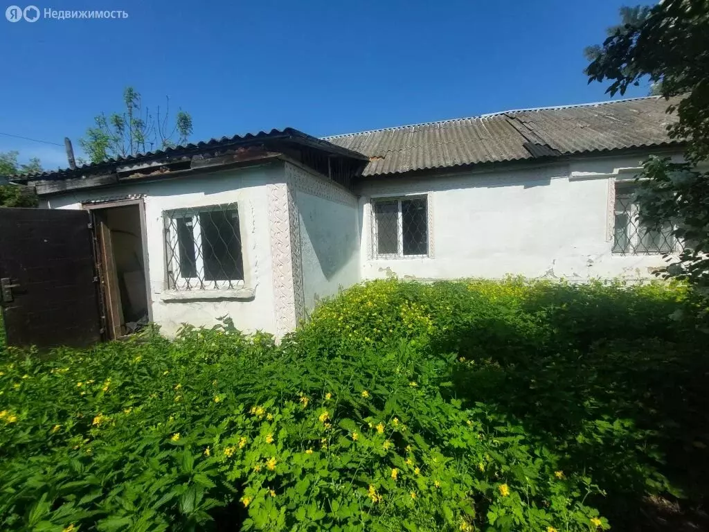 Дом в Кимовский район, сельское поселение Новольвовское, деревня ... - Фото 1