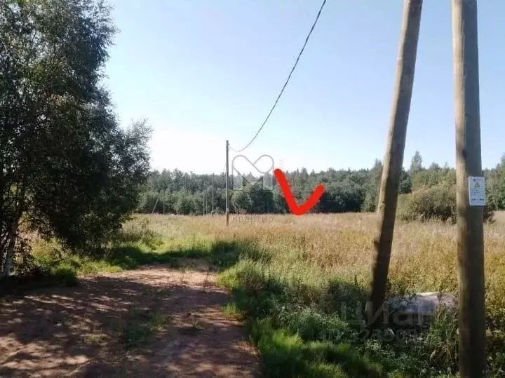 Участок в Ленинградская область, Приозерский район, Запорожское с/пос, ... - Фото 2