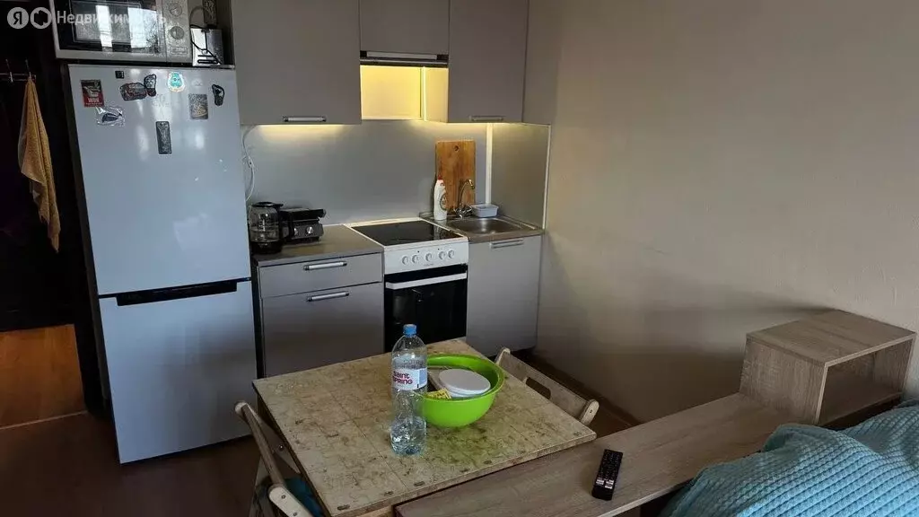 Квартира-студия: Кудрово, Столичная улица, 5 (24 м) - Фото 1