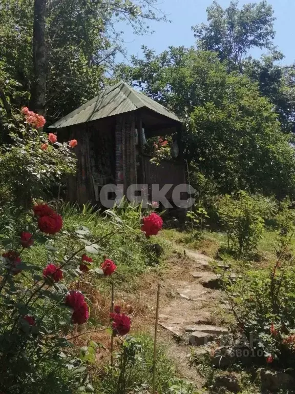 Участок в Краснодарский край, Сочи городской округ, с. Пластунка, ... - Фото 1