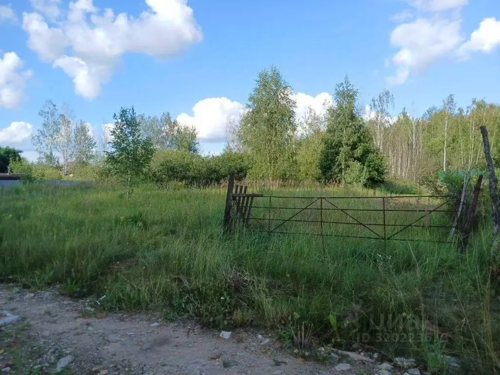 Участок в Брянская область, Клинцовский район, Коржовоголубовское ... - Фото 0