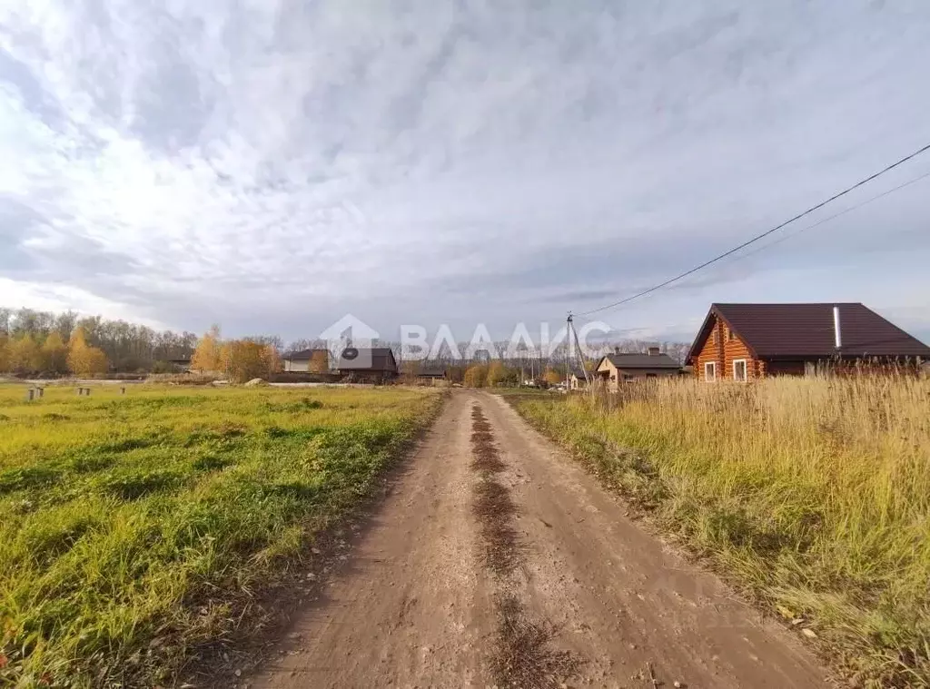 Участок в Владимирская область, Суздальский район, Новоалександровское ... - Фото 1