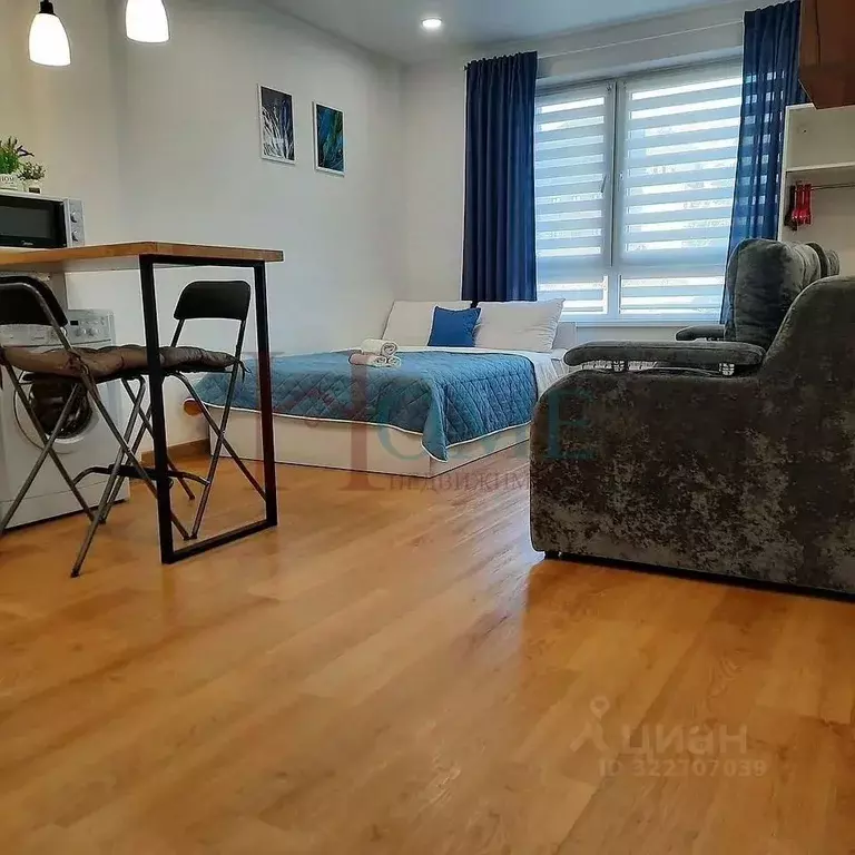 Студия Новосибирская область, Новосибирск ул. Фрунзе, 252/1 (25.0 м) - Фото 1