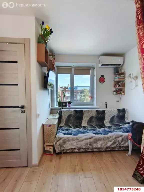 Квартира-студия: Краснодар, улица имени Тургенева, 126 (16 м) - Фото 1