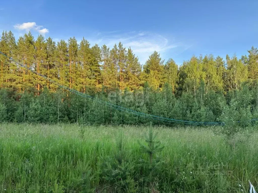 Участок в Свердловская область, Сысертский муниципальный округ, СНТ ... - Фото 1