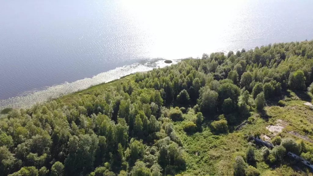 Участок в Карелия, Сортавальский муниципальный округ, пос. Пуйккола  ... - Фото 1