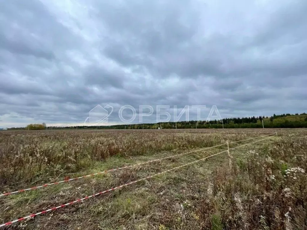 Участок в Тюменская область, Тюменский муниципальный округ, д. Ушакова ... - Фото 2