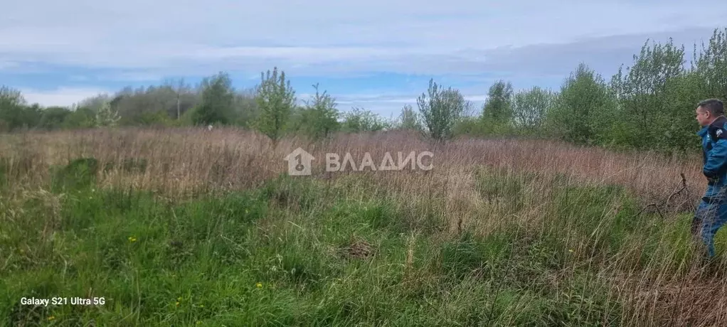Участок в Калининградская область, Зеленоградский муниципальный округ, ... - Фото 0