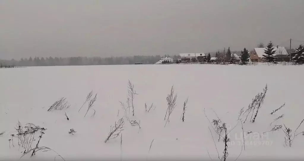Участок в Московская область, Черноголовка пер. Новосельский (6.72 ... - Фото 1