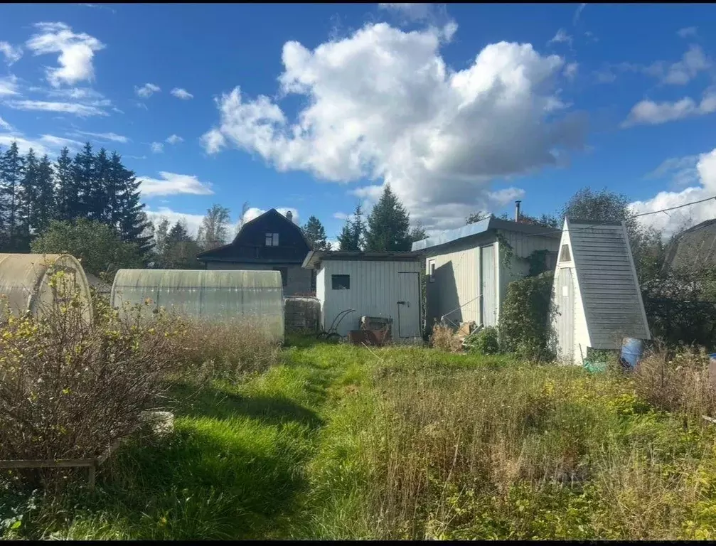 Дом в Ленинградская область, Гатчинский муниципальный округ, Чаща ... - Фото 2