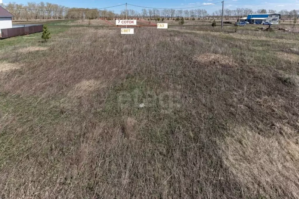 Участок в Алтайский край, Павловский район, пос. Новые зори Молодежная ... - Фото 1