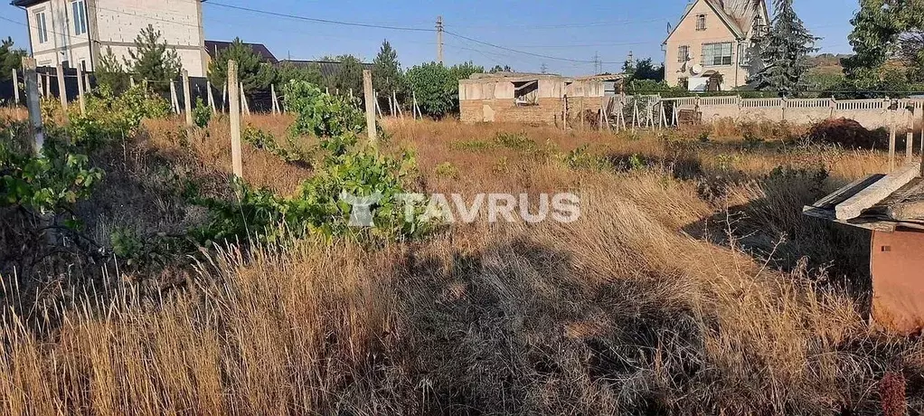 Участок в Крым, Симферопольский район, Добровское с/пос, Долина СНТ  ... - Фото 1