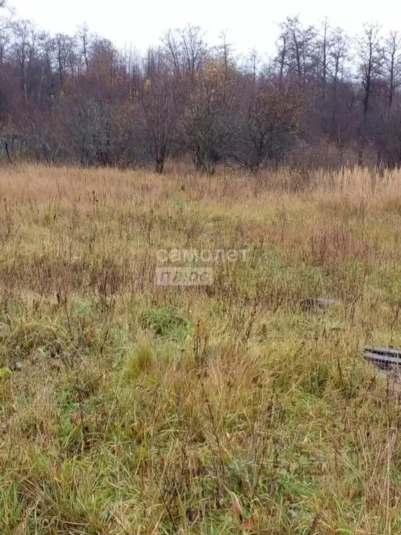 Участок в Башкортостан, Иглинский сельсовет, д. Еленинский ул. ... - Фото 2