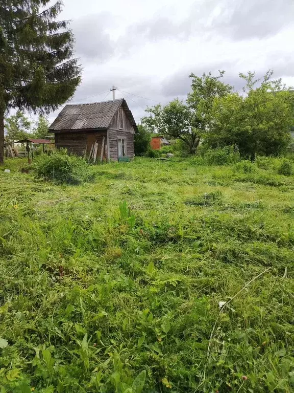Участок 6 сот. (СНТ, ДНП) - Фото 1