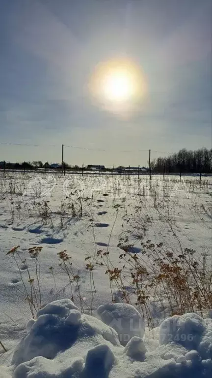 Участок в Тюменская область, Тюменский район, д. Марай  (9.9 сот.) - Фото 0