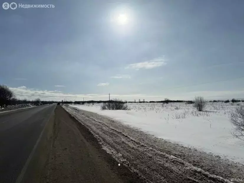 Участок в муниципальное образование Мяксинское, деревня Быстрино (26.3 ... - Фото 0