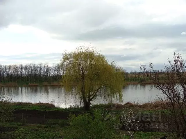 Участок в Краснодарский край, Калининский район, Бойкопонурское с/пос, ... - Фото 0